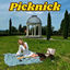 Cover PICKNICK