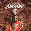 Cover Rond Point