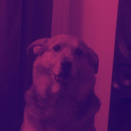 ''