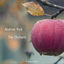Cover The Orchard