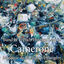 Cover Camerone