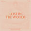 Cover Lost In The Woods
