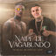 Cover Naipe de Vagabundo