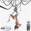Cover DA