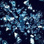 Cover Exhilaration EP