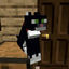 Cover Sometimes I'm Alone in Minecraft