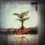 Cover Patience