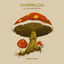 Cover Magic Mushrooms