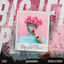 Cover Big Jet Plane