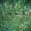 Cover Good For You