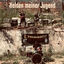 Cover Helden meiner Jugend