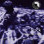 Cover Rock: The Train Kept A Rollin'
