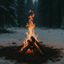 Cover Winter