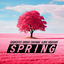 Cover SPRING