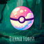 Cover Eterna Forest