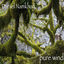 Cover Pure Wind