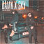 Cover DAMN / SKY (feat. ProfJam)