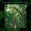Cover Whispers of the Ancestors