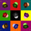Cover COLORES
