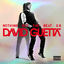 Cover Nothing but the Beat 2.0