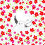 Cover J Song