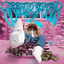 Cover TEAMPLAYER 2