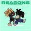Cover Reasons