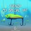 Cover My Special Hat