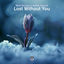 Cover Lost Without You