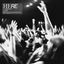 Cover Here (Live)