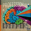 Cover Professional Dreamers