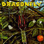 Cover Dragonfly
