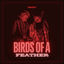 Cover Birds Of a Feather