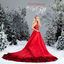 Cover My Gift