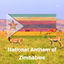 Cover National Anthem of Zimbabwe