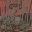 Cover Righteous Alliance