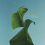 Cover Furling