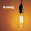 Cover Illuminate