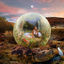 Cover flora + fana