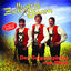 Cover Der Geigenspieler von Tirol