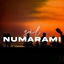 Cover Sil Numaramı