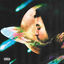 Cover Bushi Tape 2