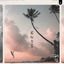Cover Sway