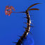 Cover Skin Companion EP II