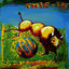 Cover This is PiL