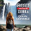 Cover Gurbet (Chill Club Mix)