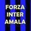 Cover Forza Inter Amala