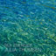 Cover Sea Energise