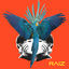 Cover RAIZ