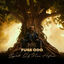 Cover Spirit of New Africa